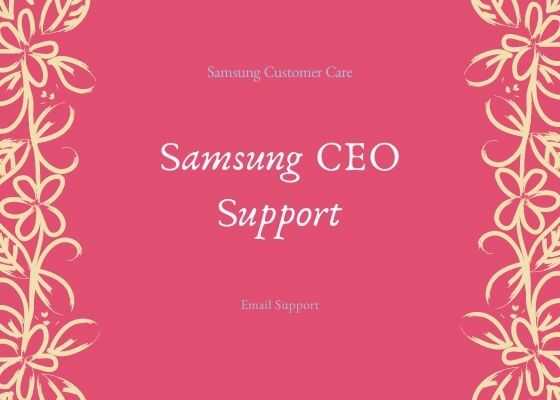 ceo support optimized